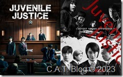 juvenile justice netflix review